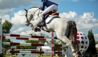 PREZZO EQUITAZIONE BAMBINI ROMA